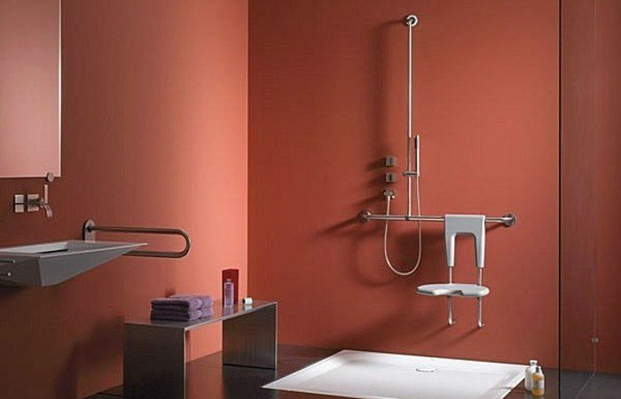 Bathroom accessories for people with disabilities fittings Poland