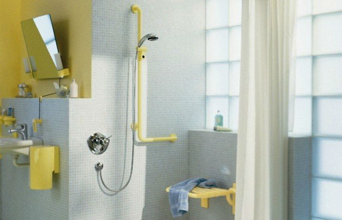 Bathroom accessories for people with disabilities fittings Poland