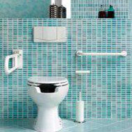Bathroom accessories for people with disabilities fittings Poland